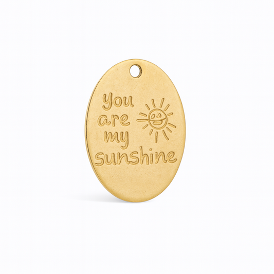 You Are My Sunshine Charm