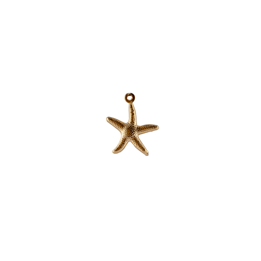 Starfish Charm