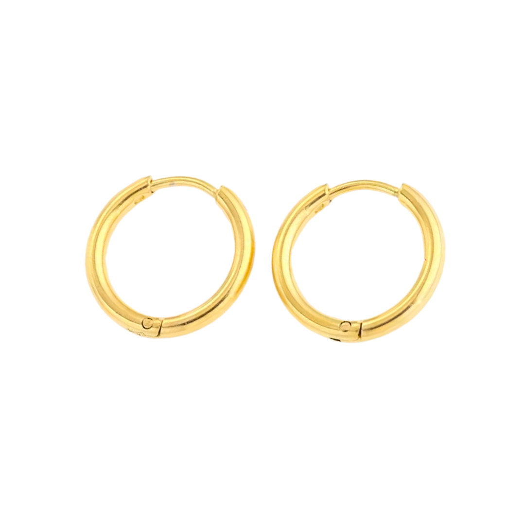 Hoops Earrings